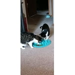 Image 4 of customer photos