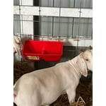 Image 1 of customer photos