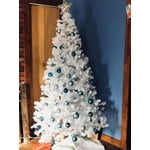 Image 6 of customer photos