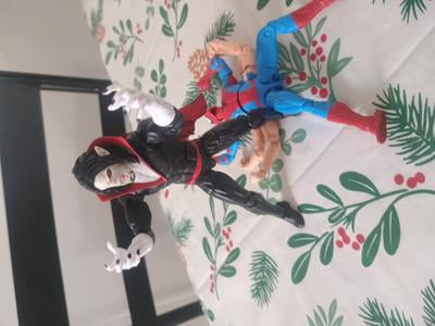 Marvel Legends Series Spider-Man: 6