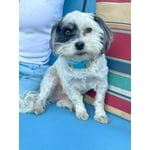 Image 6 of customer photos