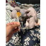 Image 5 of customer photos