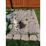 Image 5 of customer photos