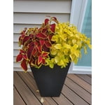 Image 7 of customer photos
