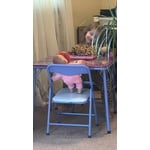 Image 7 of customer photos