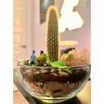 Image 6 of customer photos