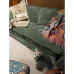 Image 4 of customer photos