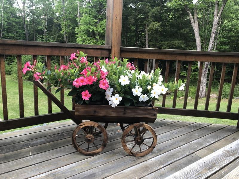 Best Choice Products Wood Flower Planter Wagon Pot Stand W Wheels For Home Patio Garden Outdoor Decor Brown Com - Wooden Wagon Garden Planter Best Choice Products Wood Flower Planter Wagon Pot Stand W Wheels For Home Patio Garden Outdoor Decor Brown Com - Wooden Wagon Garden Planter