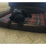 Image 3 of customer photos