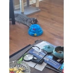 Image 7 of customer photos