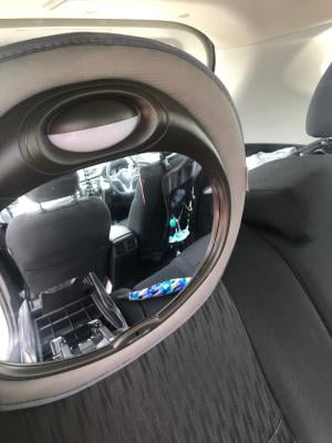 baby safari look and play car mirror