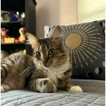 Image 2 of customer photos