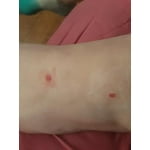 Image 7 of customer photos