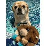 Image 2 of customer photos