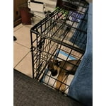 Image 3 of customer photos