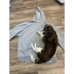 Image 6 of customer photos