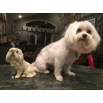 Image 3 of customer photos