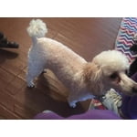 Image 1 of customer photos