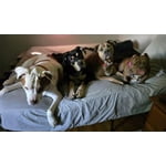 Image 1 of customer photos