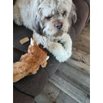 Image 3 of customer photos