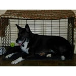 Image 4 of customer photos