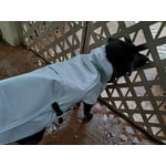 Image 7 of customer photos