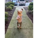 Image 1 of customer photos