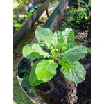 Image 3 of customer photos