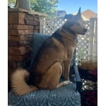 Image 6 of customer photos