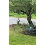 Image 5 of customer photos