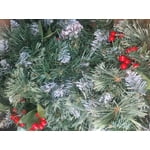 Image 7 of customer photos