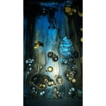 Image 5 of customer photos