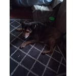 Image 1 of customer photos