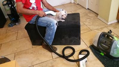 bissell bark bath walmart