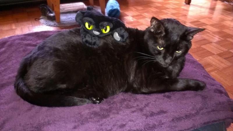 Doudou peluche Manhattan Toy Chat noir Lanky Cat Ziggie 35 cm chez vous des  demain