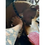 Image 4 of customer photos