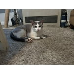 Image 6 of customer photos