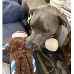 Image 4 of customer photos