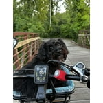 Image 5 of customer photos