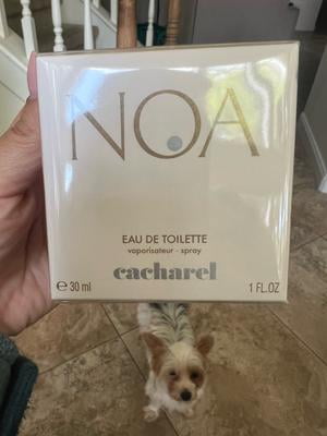 Cacharel Noa Eau De Toilette Spray for Women, 3.4 oz, Romantic