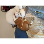 Image 1 of customer photos