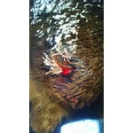 Image 7 of customer photos
