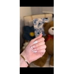 Image 7 of customer photos