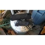 Image 2 of customer photos