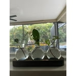 Image 5 of customer photos