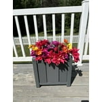 Image 6 of customer photos
