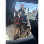 Image 6 of customer photos