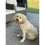 Image 7 of customer photos