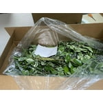 Image 7 of customer photos
