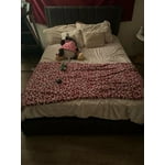 Image 1 of customer photos